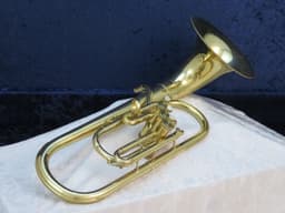 Holton Collegiate 3 Valve F Bell Front Alto Horn 1964 Serial #377534 Holton Collegiate 3 Valve F Bell Front Alto Horn 1964 Serial #377534